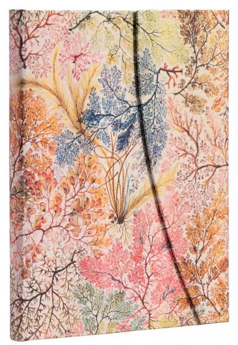Paperblank Notebook Anemone lined Ultra