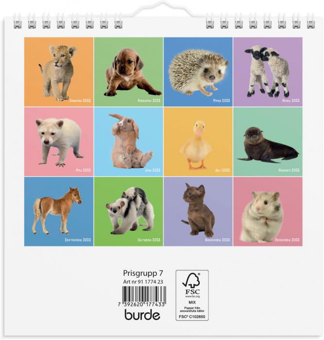 Väggkalender Sötnosar 2023