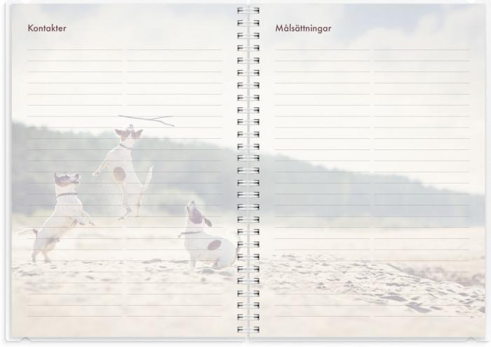 Kalender 2025 Hundkalendern