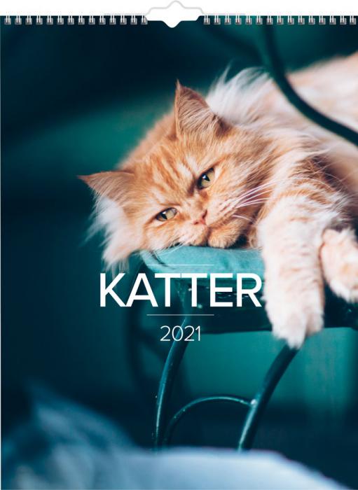 Stora Kattkalendern 2021
