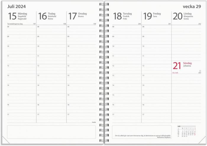 Kalender Velvet Study 2024-2025