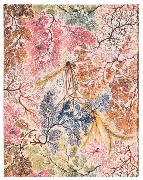 Paperblank Notebook Anemone lined Ultra