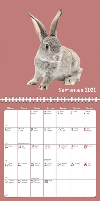 Sötnosar 2021