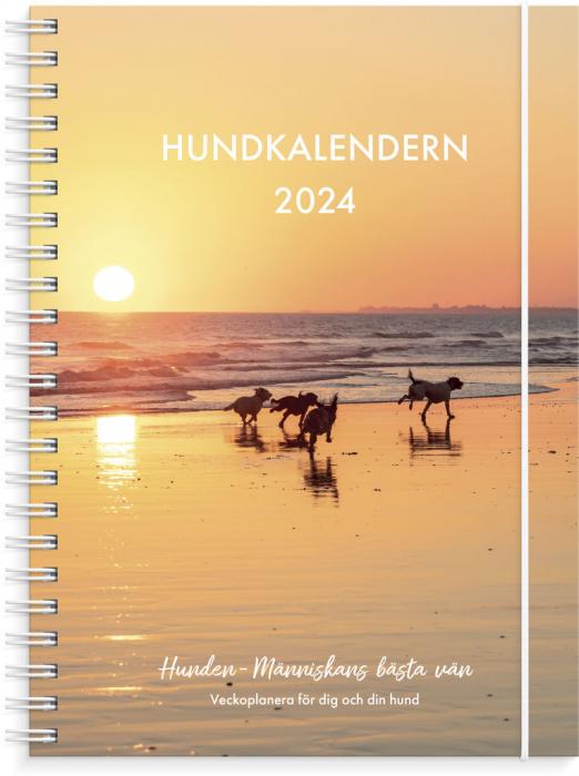 Hundkalendern 2024