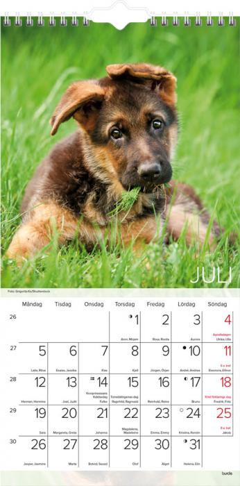 Liten Hundkalender 2021