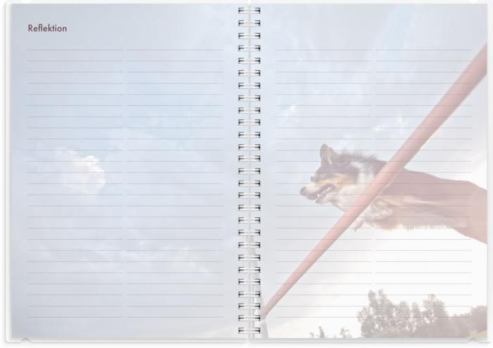 Kalender 2025 Hundkalendern