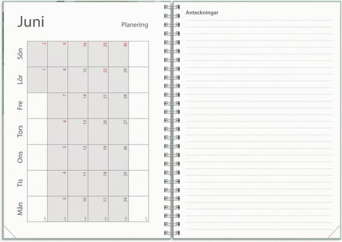 Kalender Study A5 Story grn 2024-2025