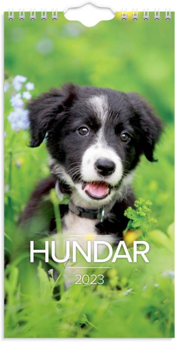 Liten Hundkalender 2023