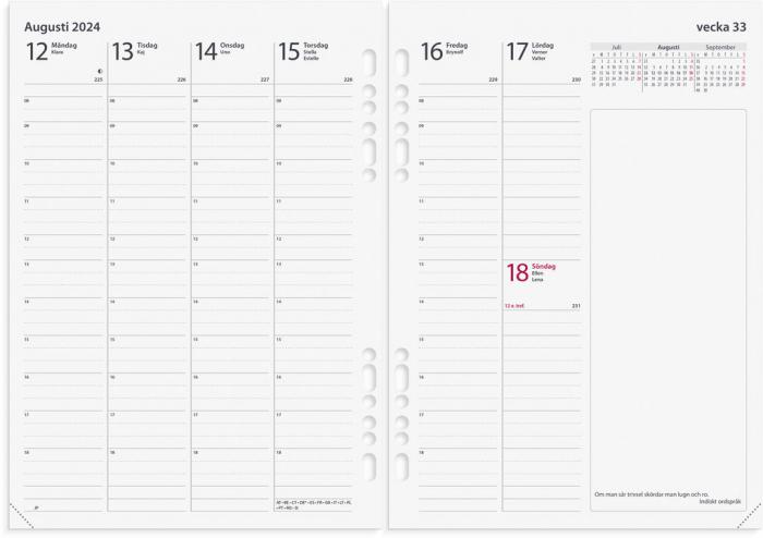 Business Systemkalender brunt skinn 2024