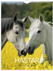 Stora Hästkalendern 2023