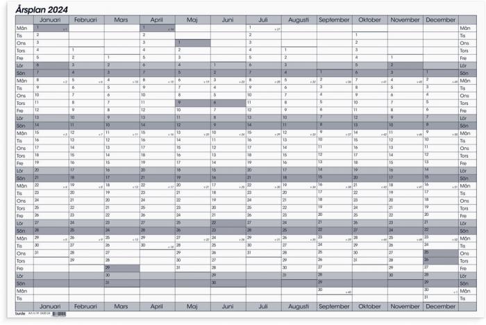 rsplan Whiteboard 2024