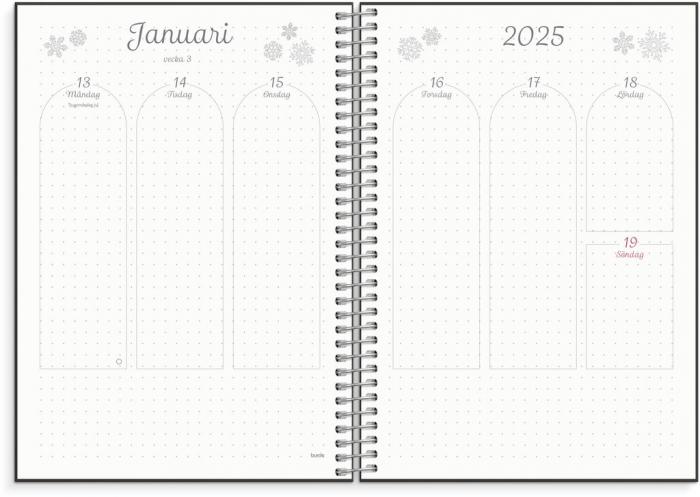 Kalender 2025 Plan & BuJo