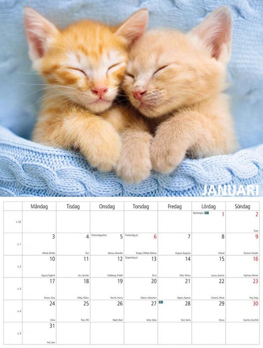 Kattkalender 2023