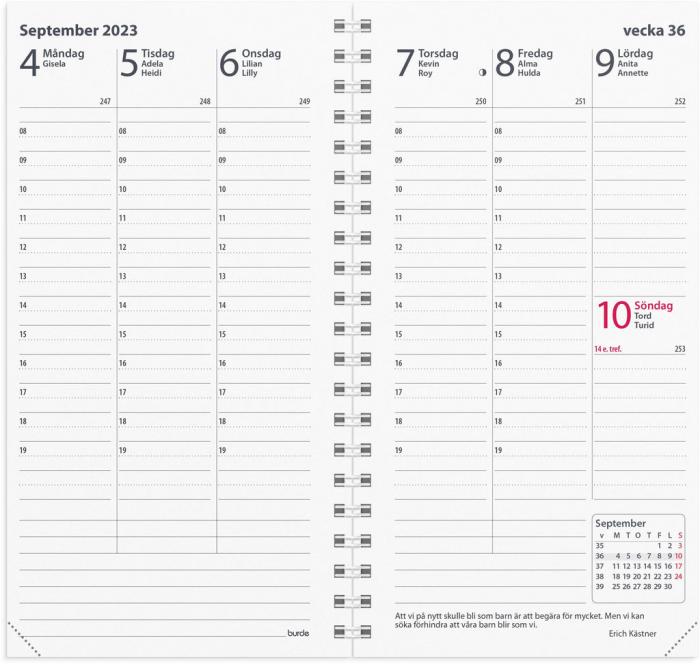 Interplano II refill 2023