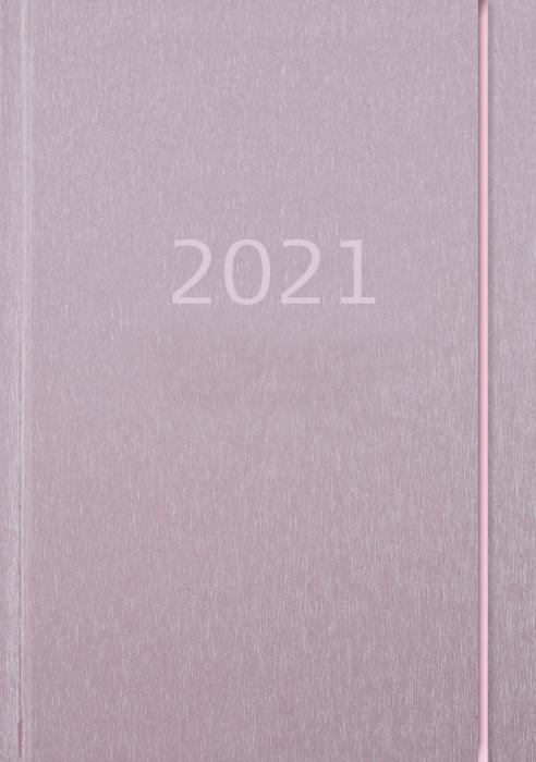 Lilla Fickdagboken ariane rosa 2021