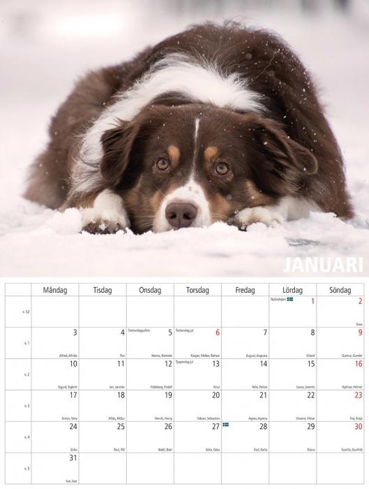 Hundkalender 2022