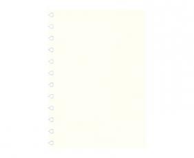 Extrablad olinjerat till Filofax A4 Notebook