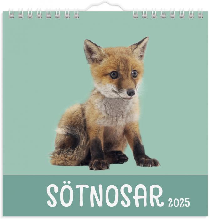 Väggkalender Sötnosar 2025
