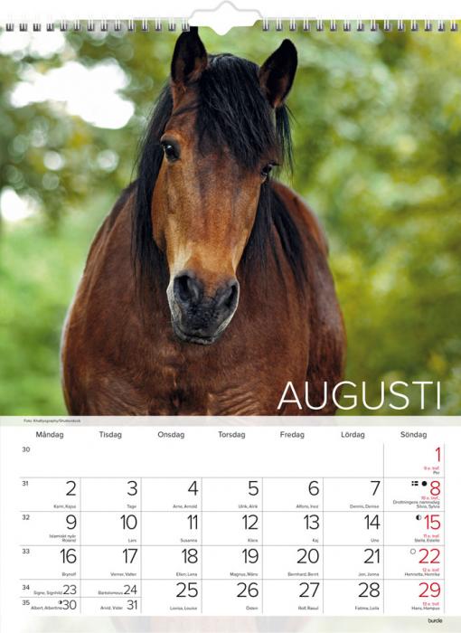 Stora Hästkalendern 2021