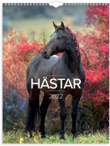 Stora Hästkalendern 2022