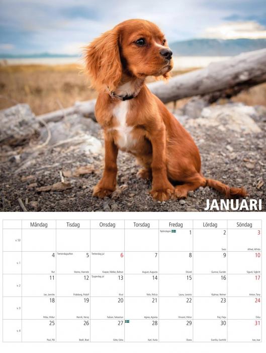 Hundkalender 2021