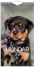 Liten Hundkalender 2024