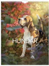 Stora Hundkalendern 2024