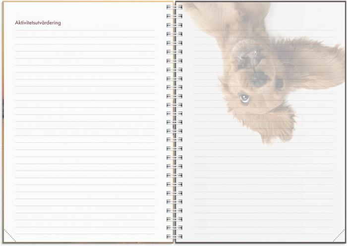 Hundkalendern 2024