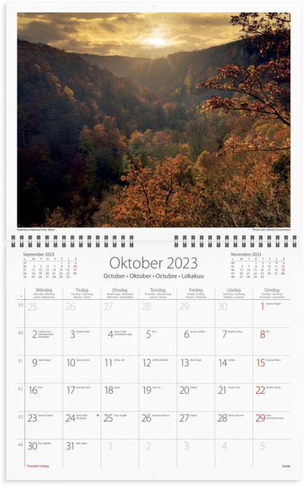 Väggkalender Vår vackra skog 2022