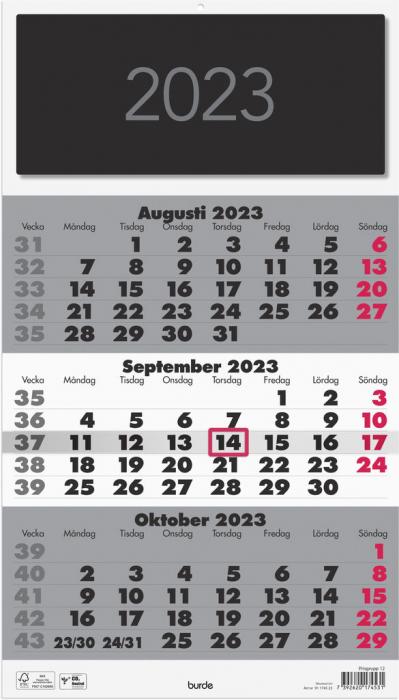 Triplaner Elegant 2023
