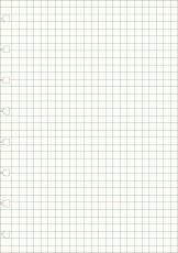 Extrablad rutade till Filofax Notebook A5