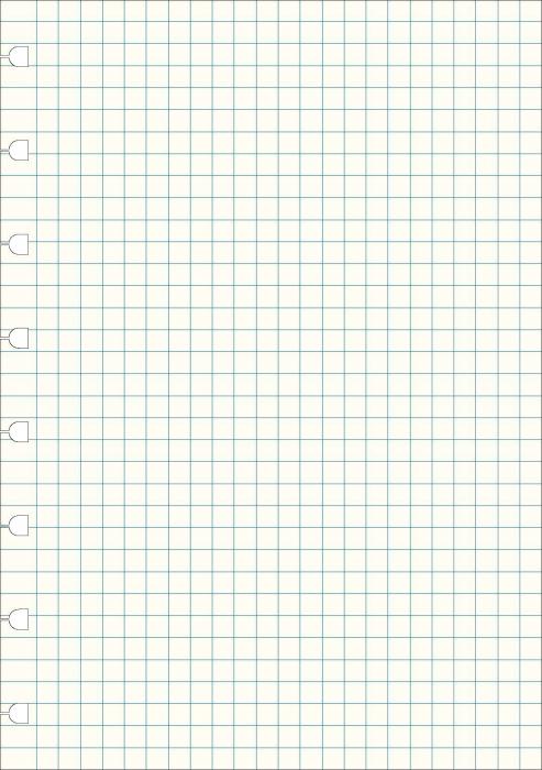 Extrablad rutade till Filofax Notebook A5
