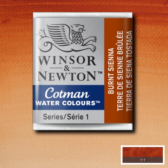 Akvarellfrg Cotman 1/2-kopp Burnt sienna 074