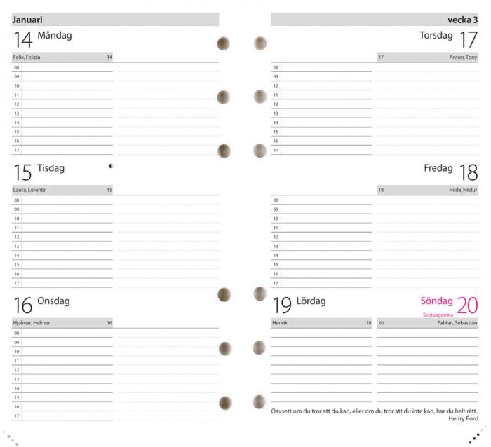Regent Systemkalender svart skinn 2021