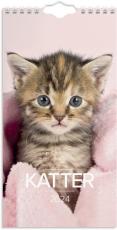 Liten kattkalender 2024