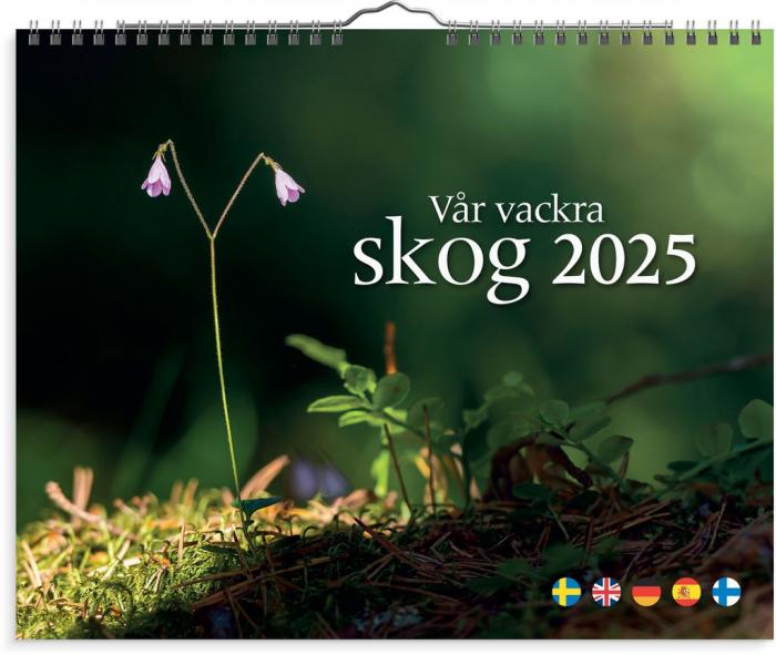 Vggkalender Vr vackra skog 2025