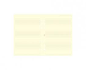 Filofax A5 linjerade blad beige