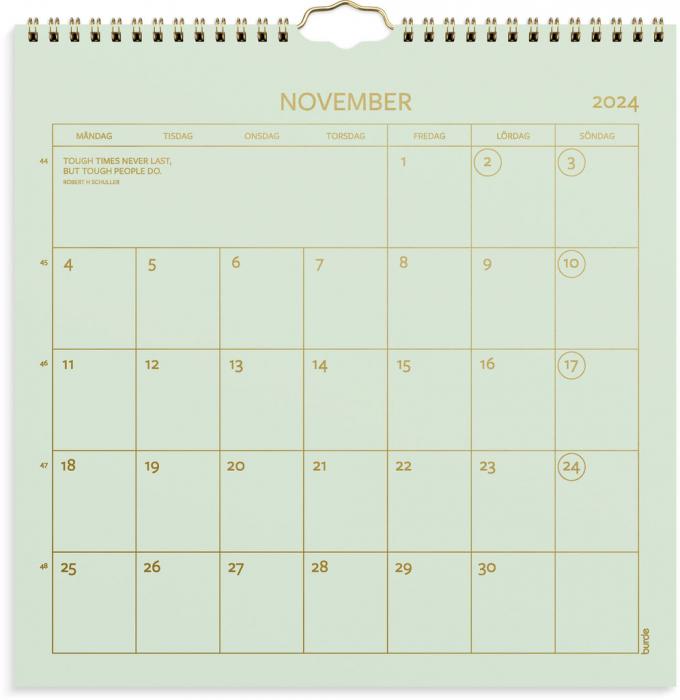 Vggkalender Color 2024