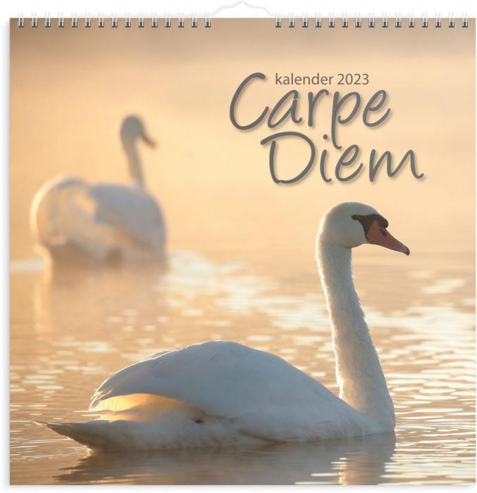 Carpe Diem 2023