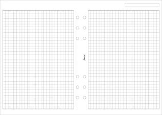 Filofax A5 rutade blad