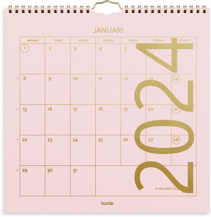 Väggkalender Color 2024