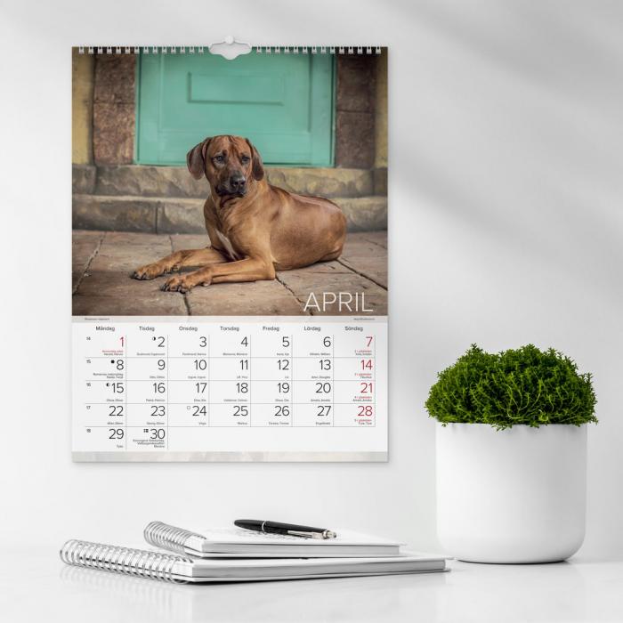 Stora Hundkalendern 2024