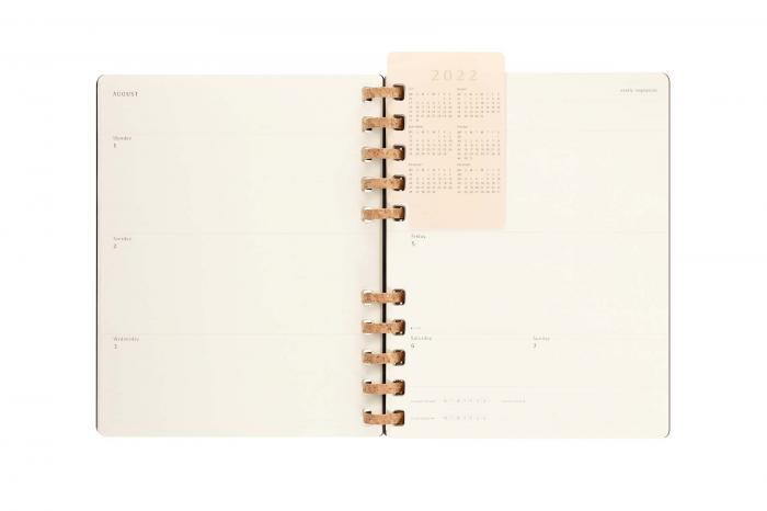 Spiral Academic Planner 22/23 XXL Svart