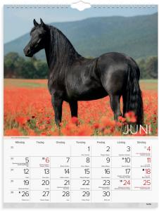 Stora Hästkalendern 2023