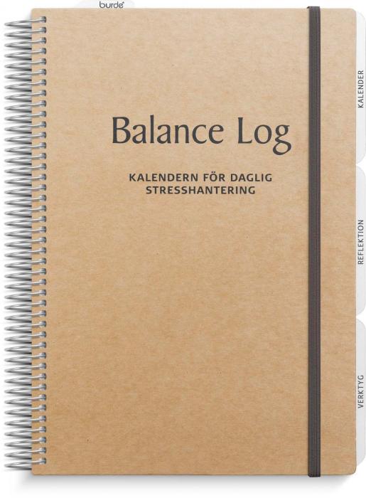 Balance Log 