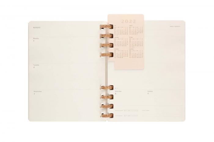 Spiral Academic Planner 22/23 XL Oyster Grey