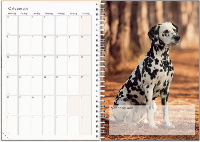 Hundkalendern 2024