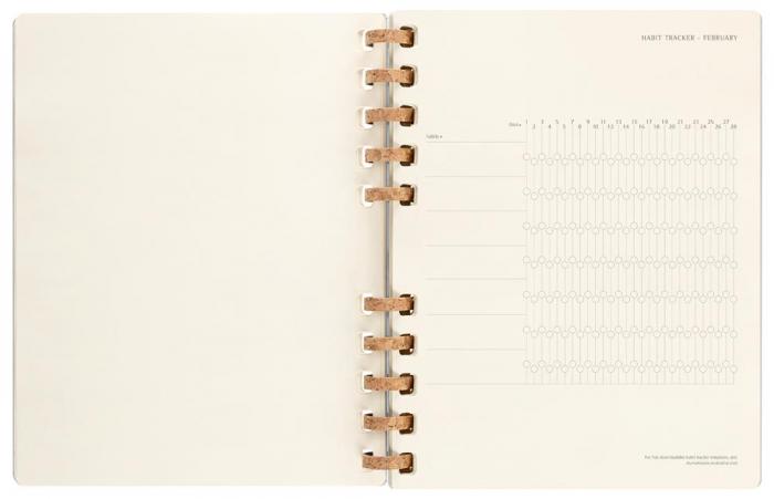 Spiral Planner 2023 XXL Smoke Grey