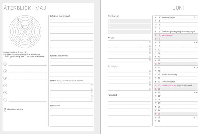 Goal Planner 2021