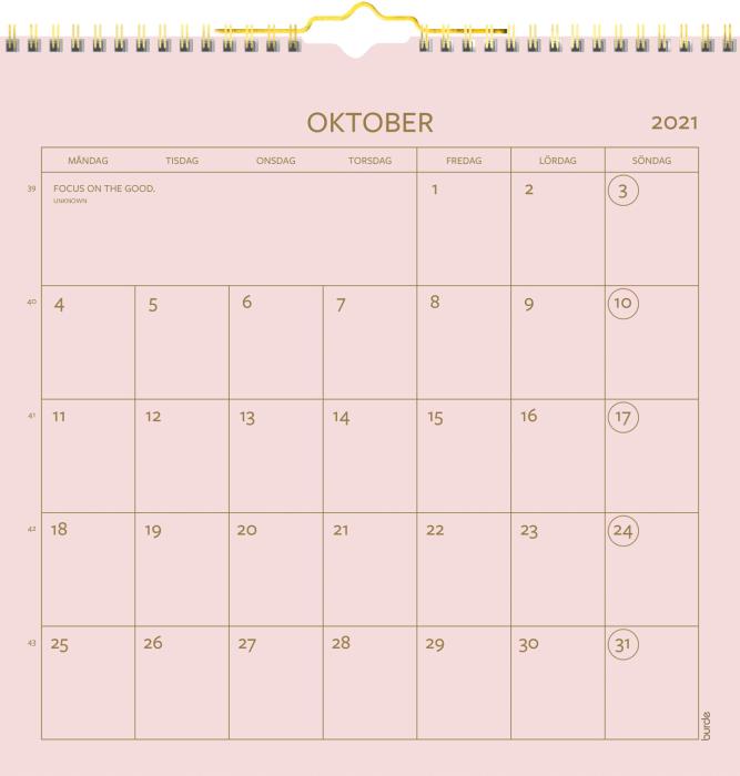 Väggkalender Color 2021 